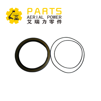 Genie RHAN Rhif 106119GT Sêl Kit, Gearbox, 4HP